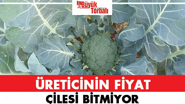 Üreticinin fiyat çilesi bitmiyor