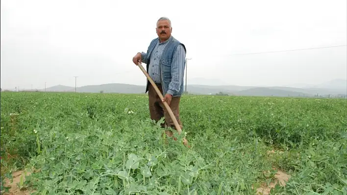 Üreticiye destek artacak