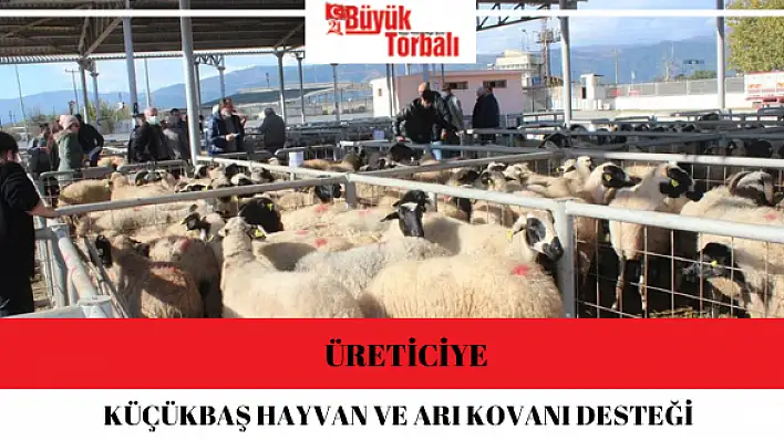 Üreticiye küçükbaş hayvan ve arı kovanı desteği