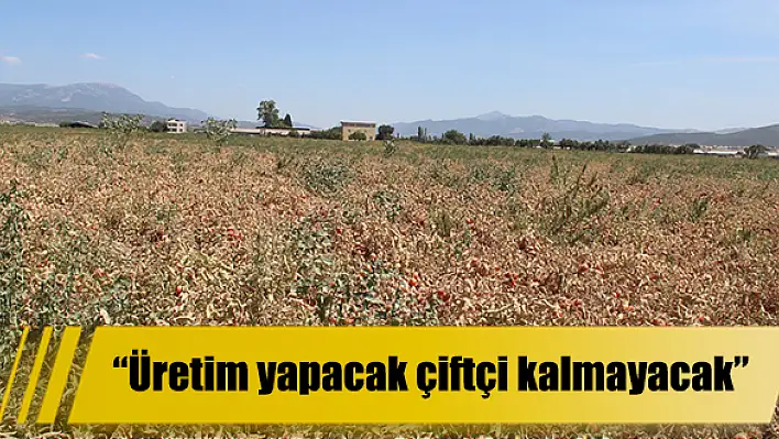 Üretim yapacak çiftçi kalmayacak