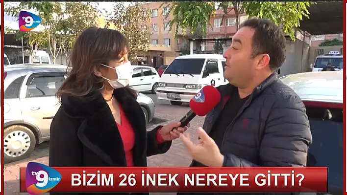 VİDEO HABER – “Bizim 26 inek nereye gitti?”