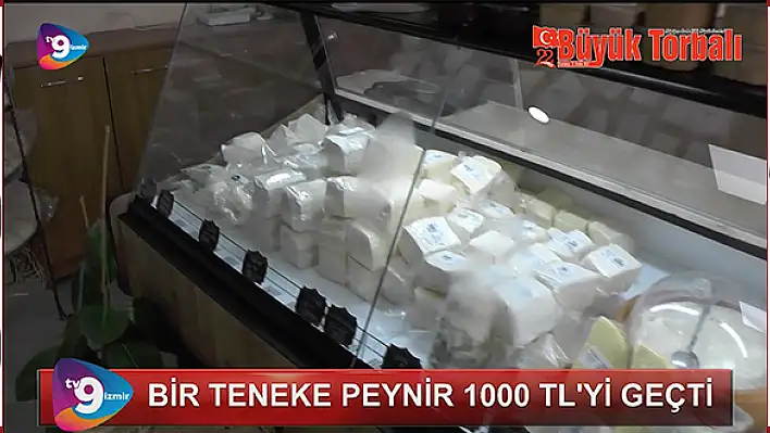 VİDEO HABER – “Bir teneke peynir 1000 lirayı geçti”