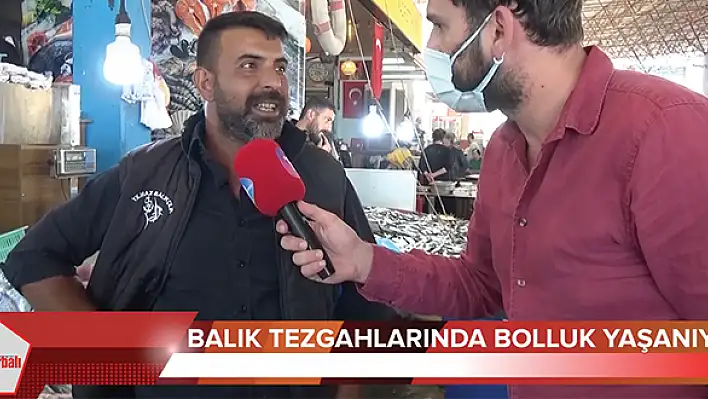 VİDEO HABER: Tezgahlarda balık bolluğu yaşanıyor