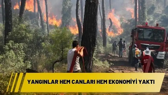 Yangınlar hem canları hem ekonomiyi yaktı