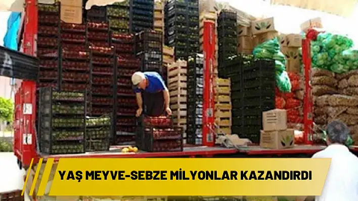 Yaş meyve-sebze milyonlar kazandırdı