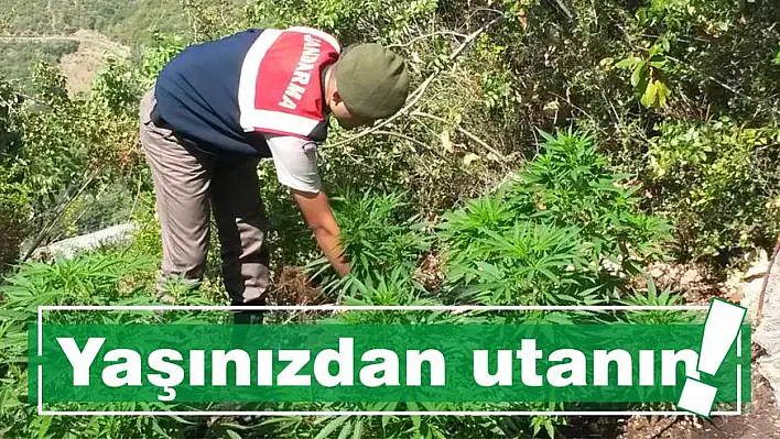 Yaşınızdan utanın!