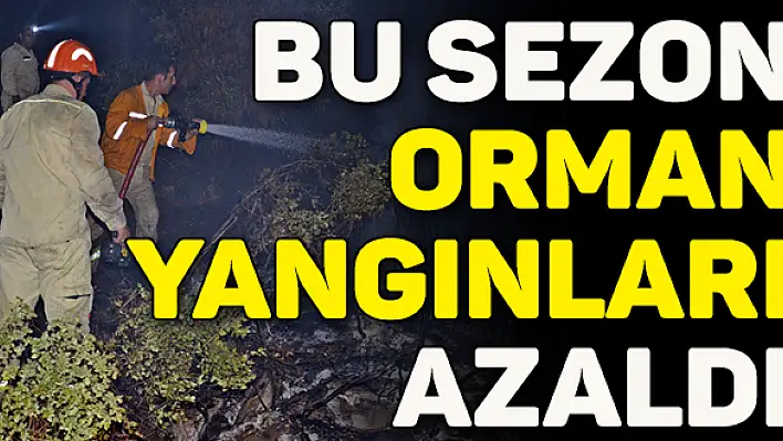 Yaz boyunca 23 hektar kül oldu