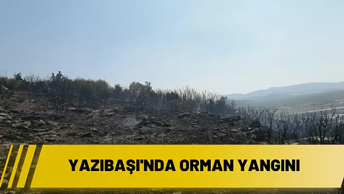 Kuşçuburun ve Yazıbaşı mevkisinde orman yangını