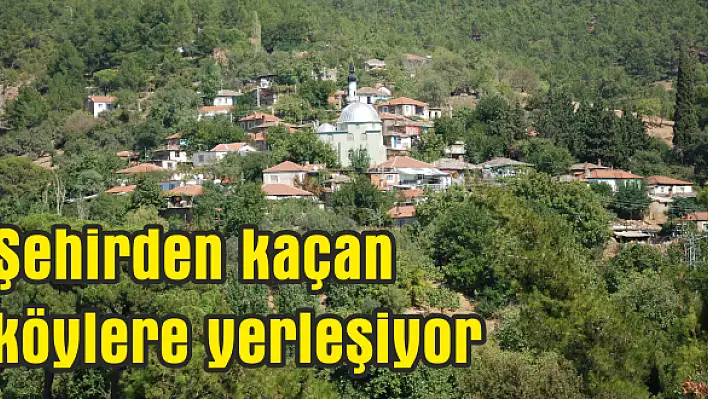 Yeni 'hobi'miz köylü olmak