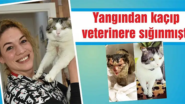 Yeniden doğmuş gibi…