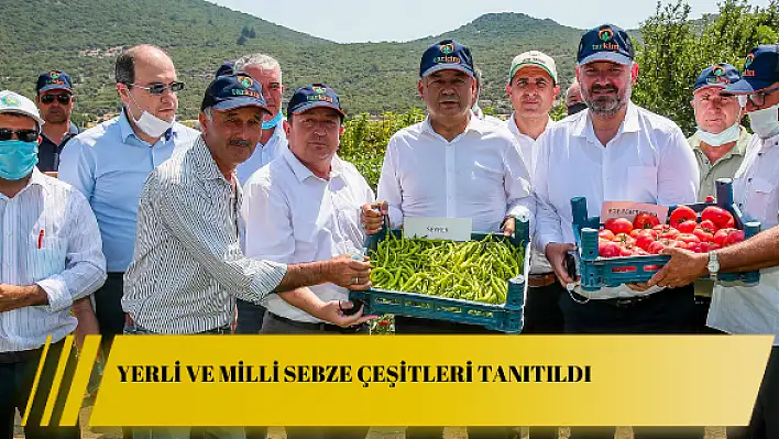 Yerli ve milli sebze çeşitleri tanıtıldı