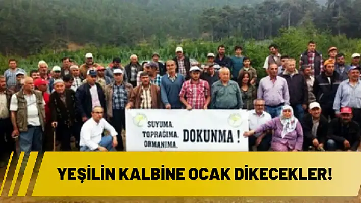 Yeşilin kalbine ocak dikecekler!