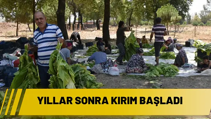 Yıllar sonra kırım başladı