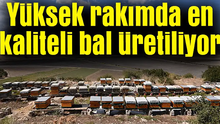 Yüksek rakımda en kaliteli bal üretiliyor