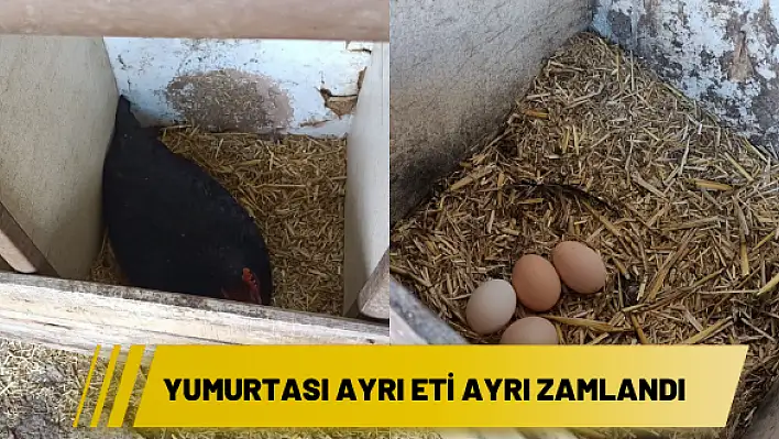 Yumurtası ayrı eti ayrı zamlandı