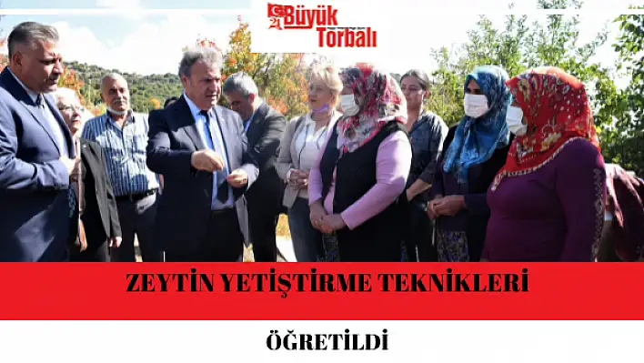 Zeytin Yetiştirme Teknikleri öğretildi