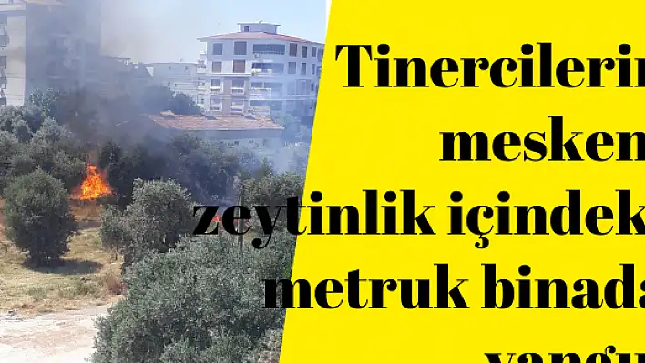 ZEYTİNLİK İÇİNDEKİ METRUK BİNADA YANGIN