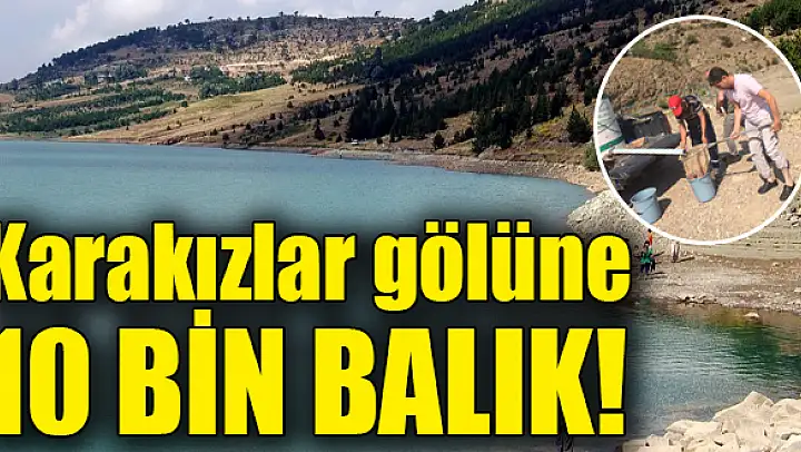 2 Yıl Avlanmak Yasak
