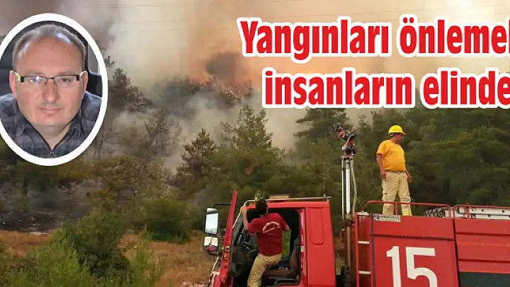 20 dekar kül oldu