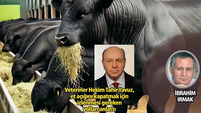 Hayvancılıktaki açık suni tohumlamayla aşılır
